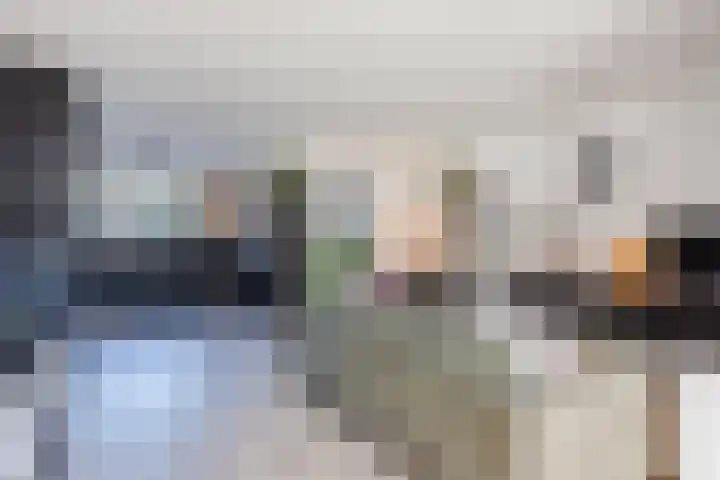 Heechfinne 6 Akkrum thumbnail 25