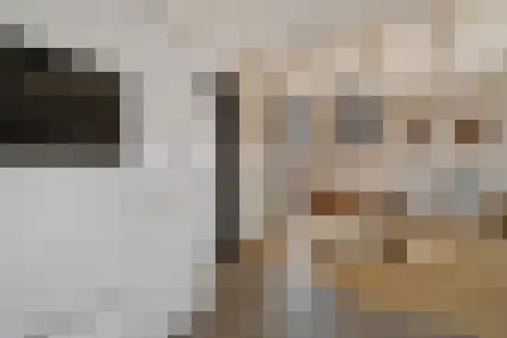 Heechfinne 6 Akkrum thumbnail 26