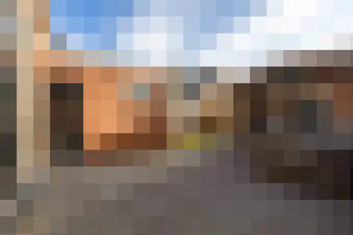 Heechfinne 6 Akkrum thumbnail 5