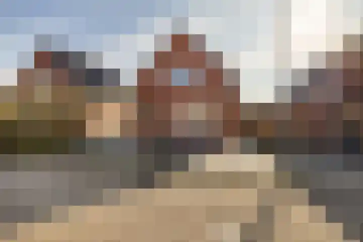 Heechfinne 6 Akkrum thumbnail 6