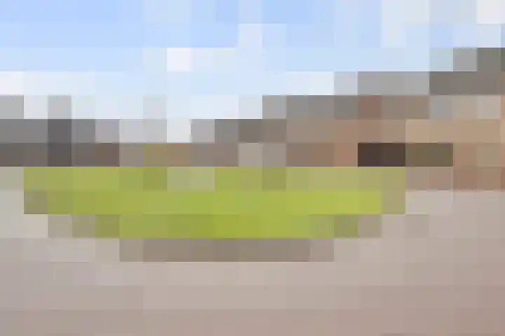 Heeckerenhof 8 Didam thumbnail 28