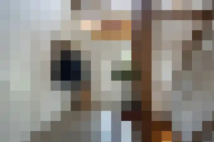 Heegderweg 46 Uddel thumbnail 28