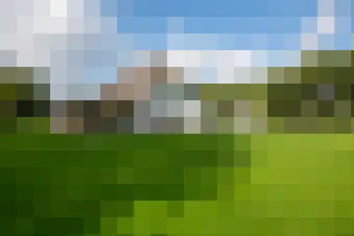 Heegderweg 46 Uddel thumbnail 37
