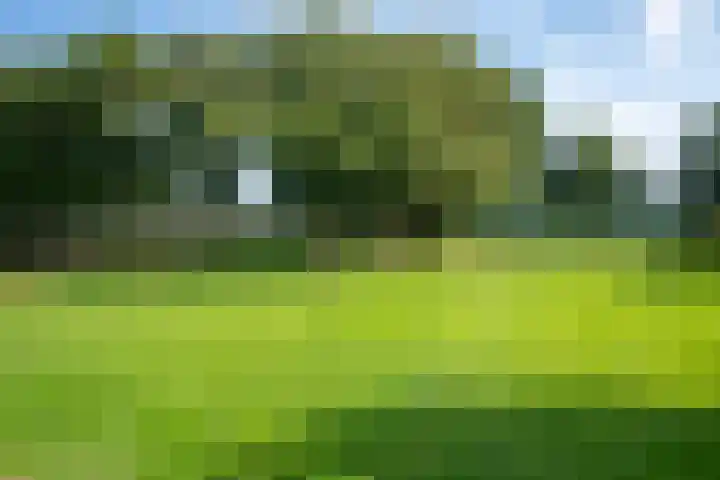 Heegderweg 46 Uddel thumbnail 45