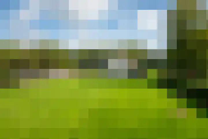 Heegderweg 46 Uddel thumbnail 46