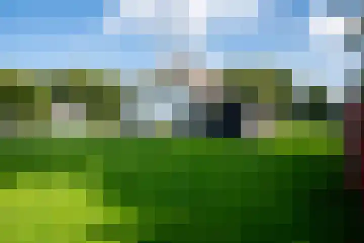 Heegderweg 46 Uddel thumbnail 47