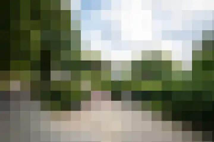 Heegderweg 46 Uddel thumbnail 52