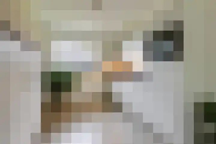 Heegsche Bouwing 8 Westervoort thumbnail 20