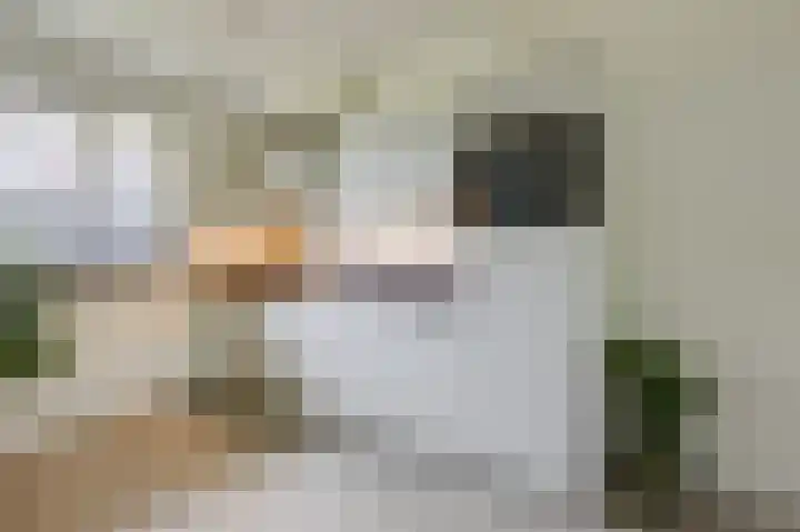 Heegsche Bouwing 8 Westervoort thumbnail 21