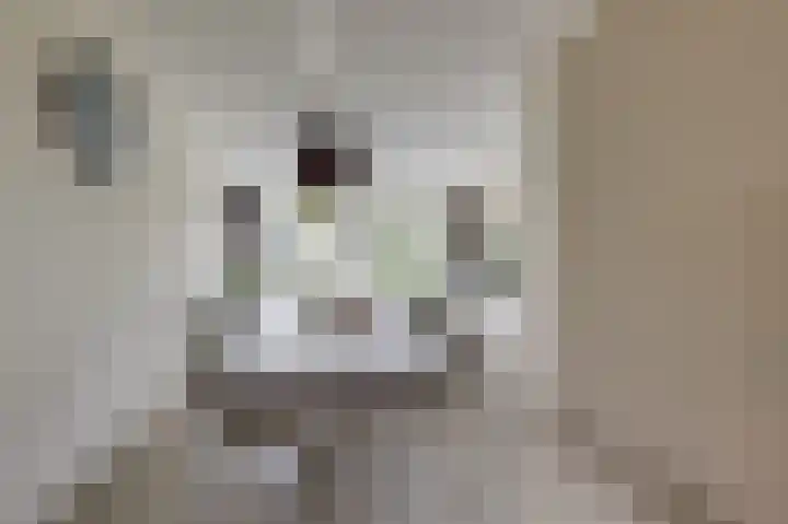 Heegsche Bouwing 8 Westervoort thumbnail 23