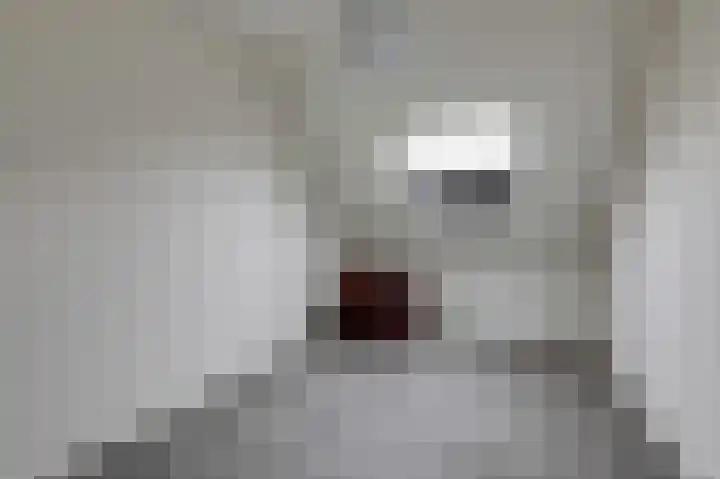 Heegsche Bouwing 8 Westervoort thumbnail 30