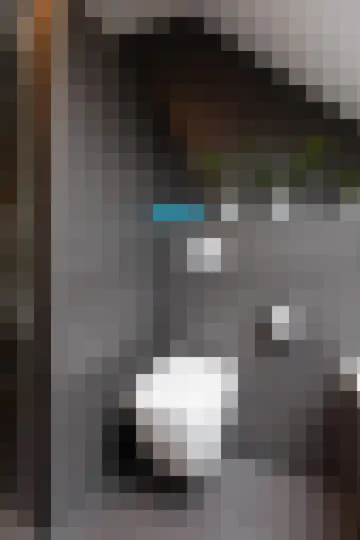 Heegsche Bouwing 8 Westervoort thumbnail 37