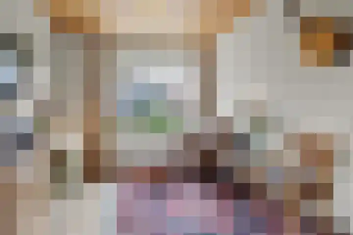 Heeleind 2 E Bladel thumbnail 10