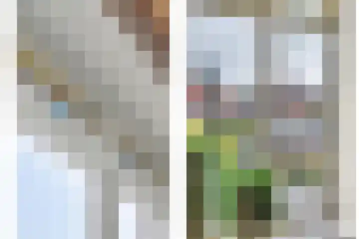 Heeleind 2 E Bladel thumbnail 12