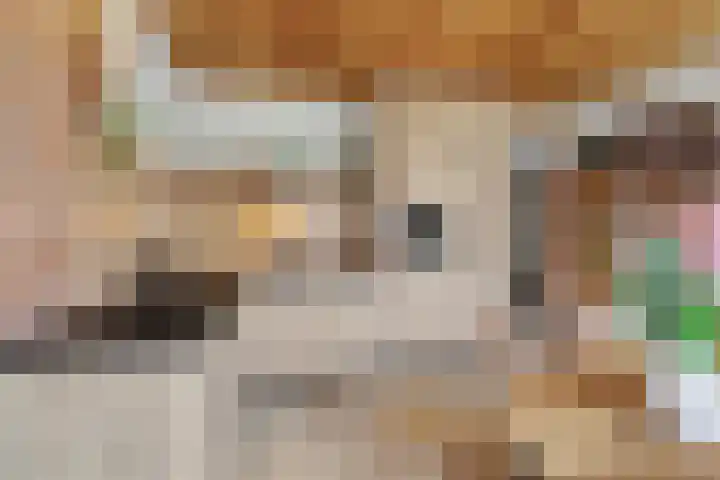 Heeleind 2 E Bladel thumbnail 13