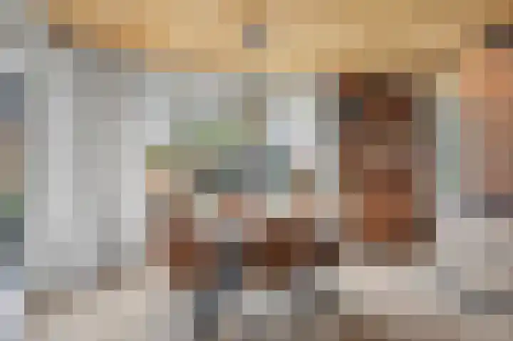 Heeleind 2 E Bladel thumbnail 16