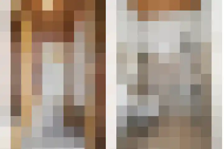 Heeleind 2 E Bladel thumbnail 18