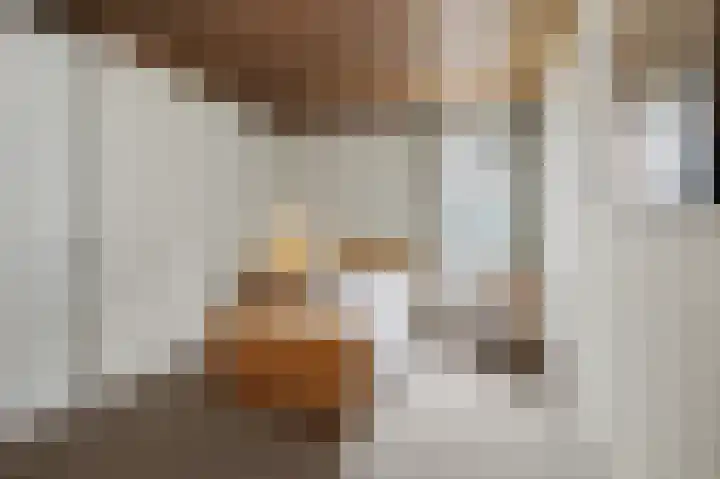 Heeleind 2 E Bladel thumbnail 19