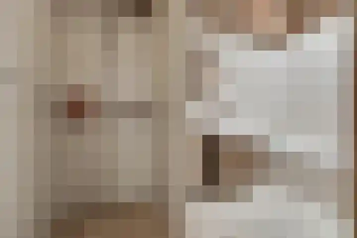 Heeleind 2 E Bladel thumbnail 21