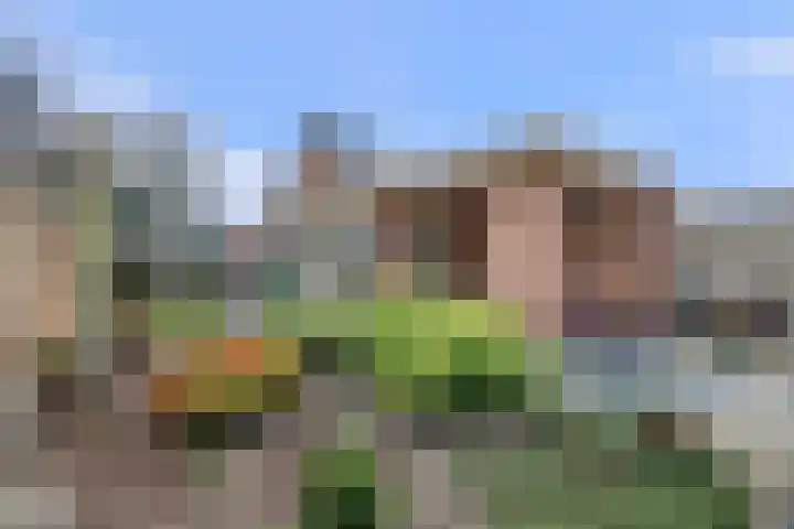 Heeleind 2 E Bladel thumbnail 31