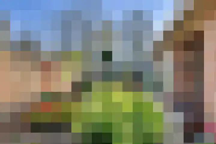 Heeleind 2 E Bladel thumbnail 33