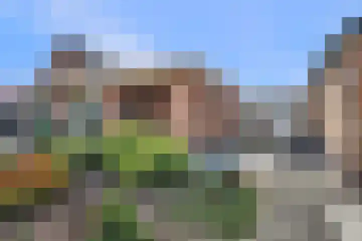 Heeleind 2 E Bladel thumbnail 34