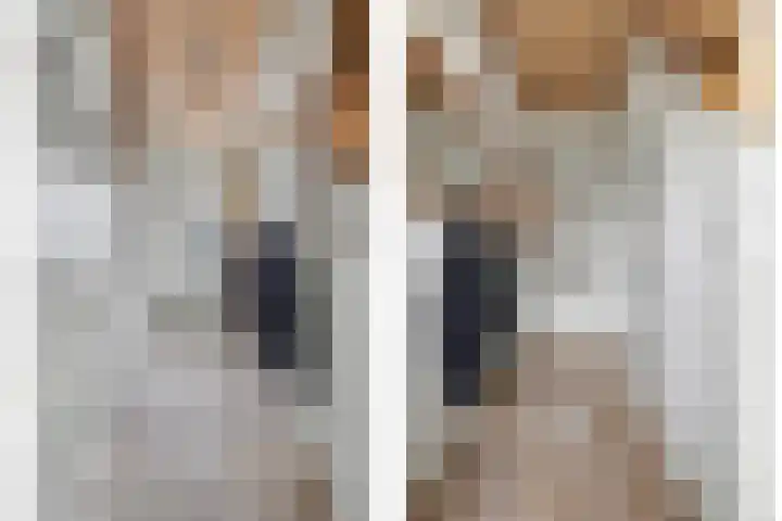 Heeleind 2 E Bladel thumbnail 4