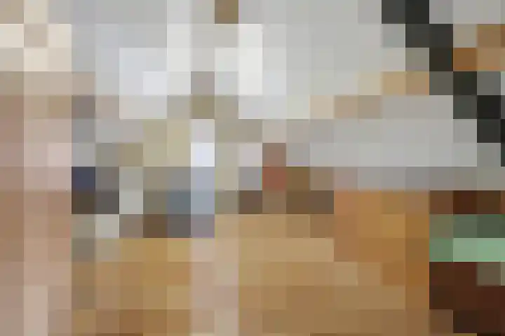 Heeleind 2 E Bladel thumbnail 41