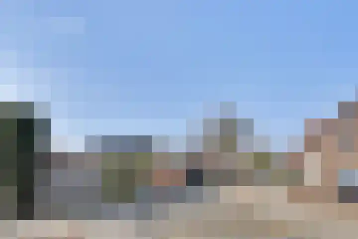 Heeleind 2 E Bladel thumbnail 43