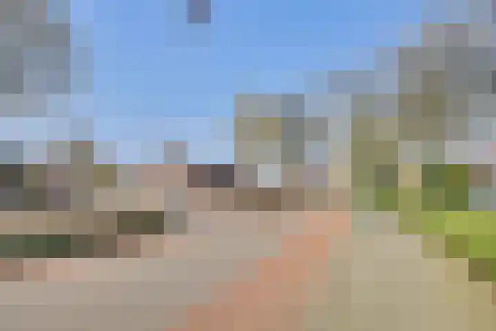 Heeleind 2 E Bladel thumbnail 44