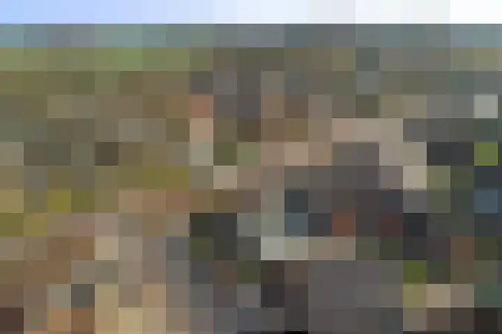 Heeleind 2 E Bladel thumbnail 45