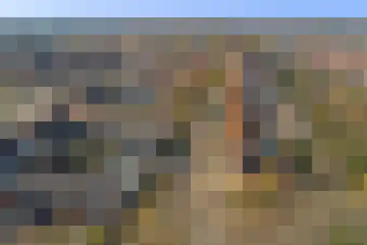 Heeleind 2 E Bladel thumbnail 46