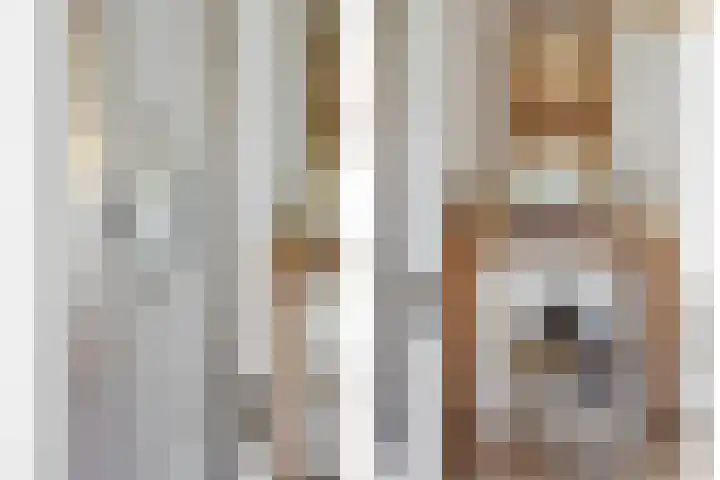 Heeleind 2 E Bladel thumbnail 6