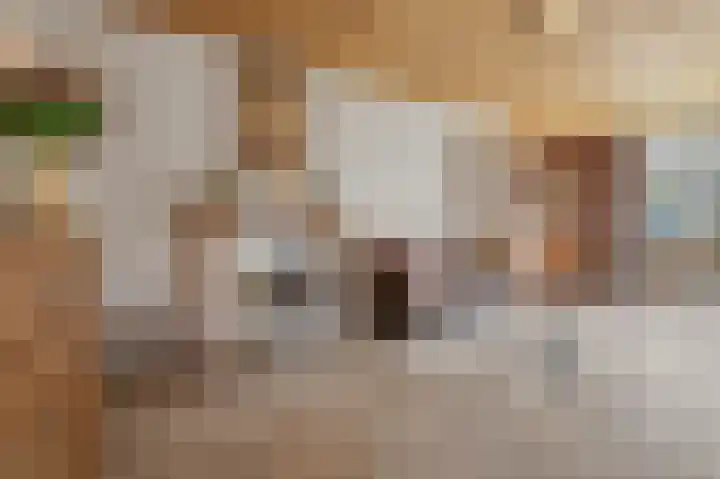 Heeleind 2 E Bladel thumbnail 9