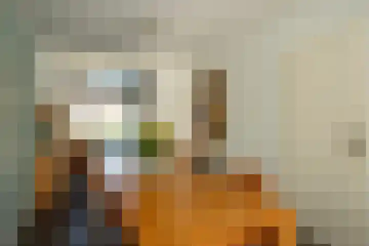 Heeleind 36 Bladel thumbnail 10