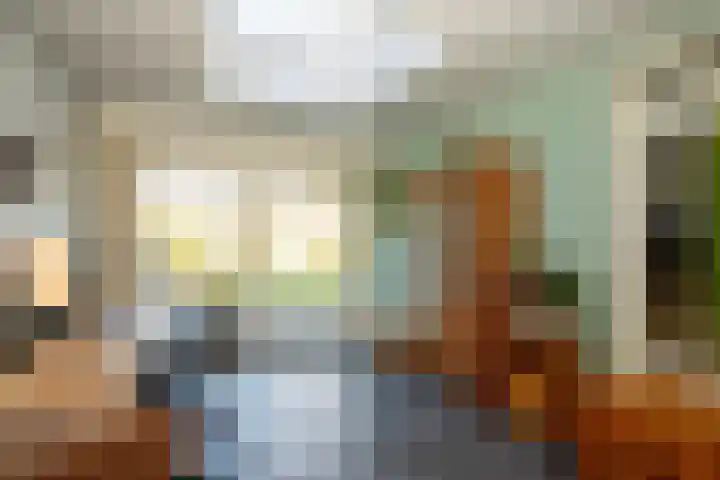 Heeleind 36 Bladel thumbnail 11