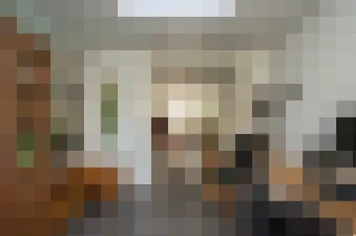 Heeleind 36 Bladel thumbnail 12