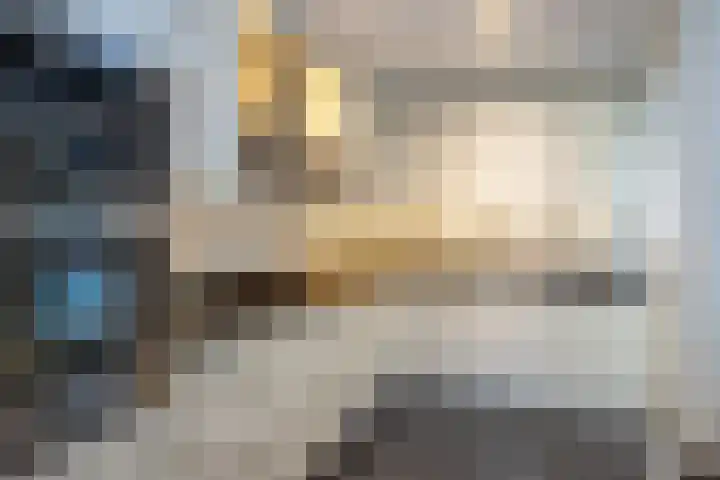 Heeleind 36 Bladel thumbnail 13