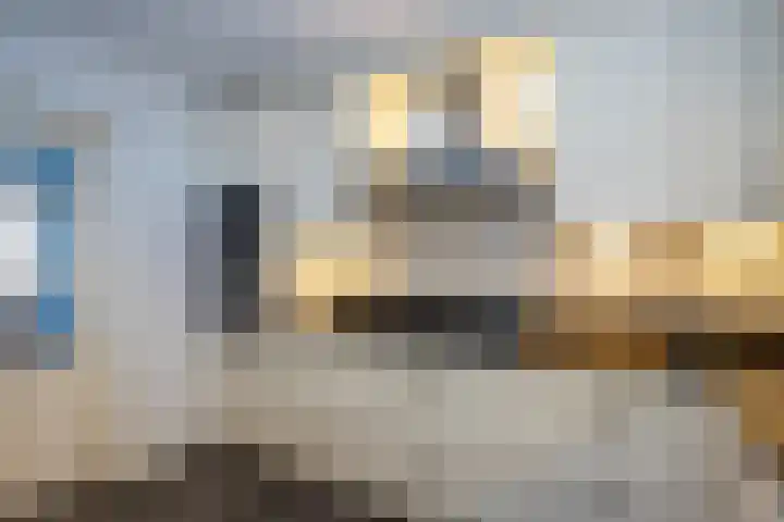 Heeleind 36 Bladel thumbnail 14