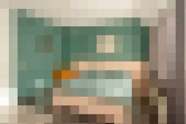 Heeleind 36 Bladel thumbnail 17