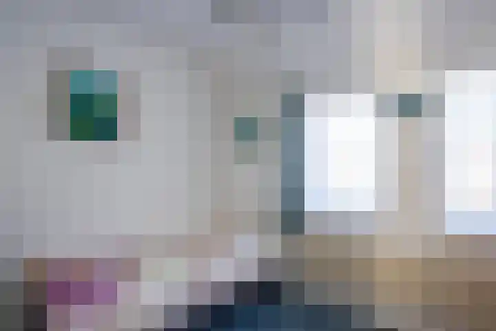 Heeleind 36 Bladel thumbnail 20