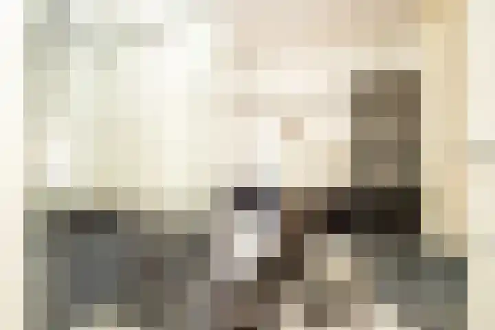 Heeleind 36 Bladel thumbnail 21