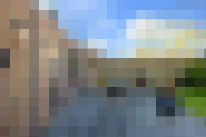 Heeleind 36 Bladel thumbnail 25