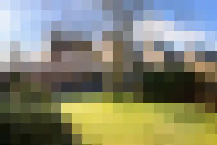 Heeleind 36 Bladel thumbnail 27