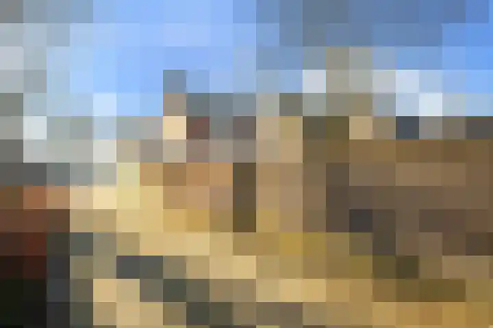 Heeleind 36 Bladel thumbnail 28