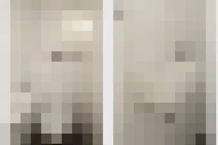 Heeleind 36 Bladel thumbnail 4