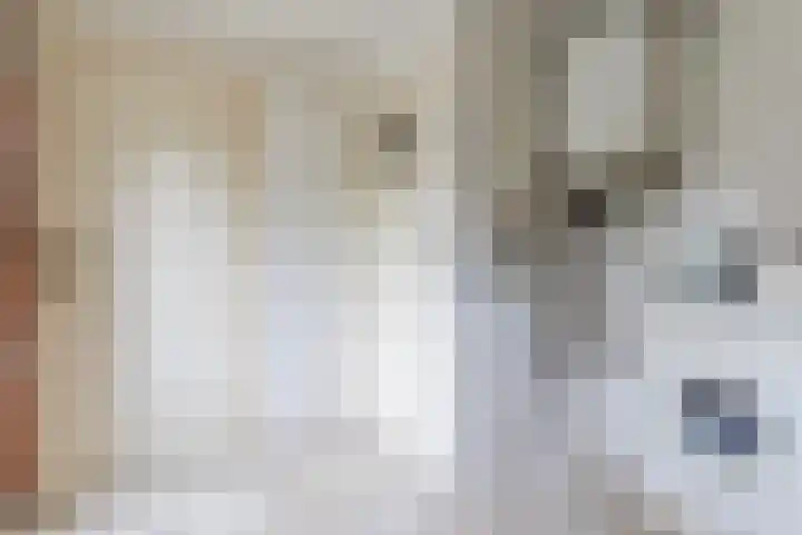 Heeleind 86 Bladel thumbnail 13