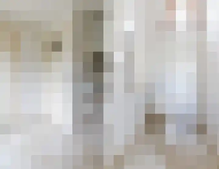 Heeleind 86 Bladel thumbnail 14