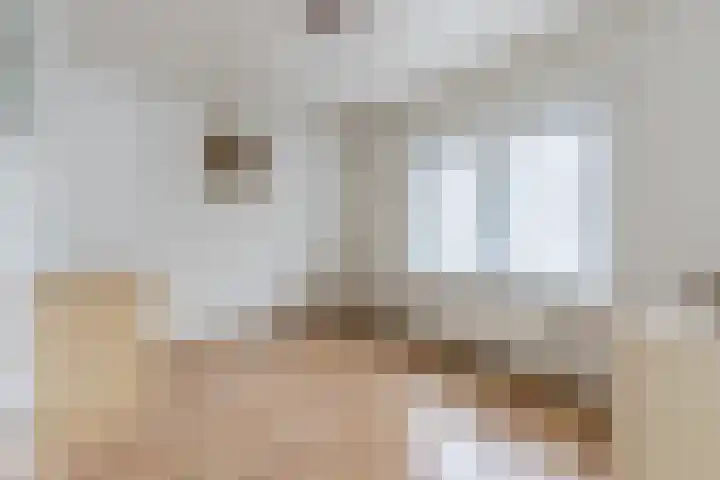 Heeleind 86 Bladel thumbnail 21