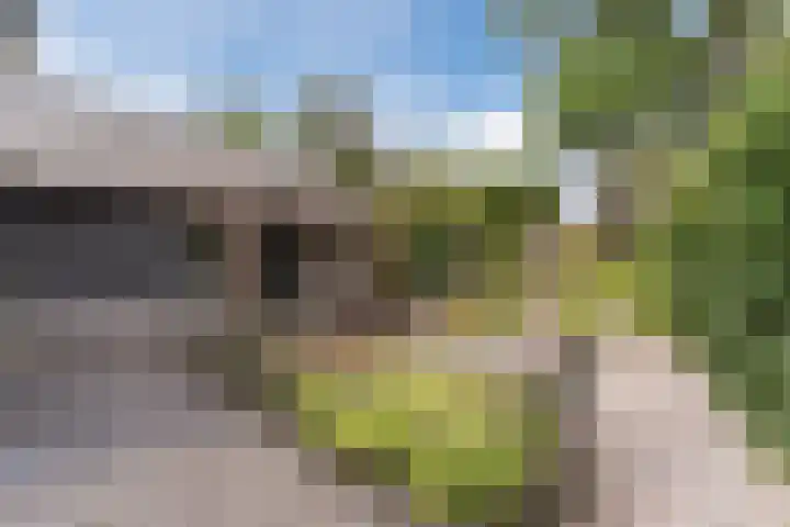 Heeleind 86 Bladel thumbnail 28